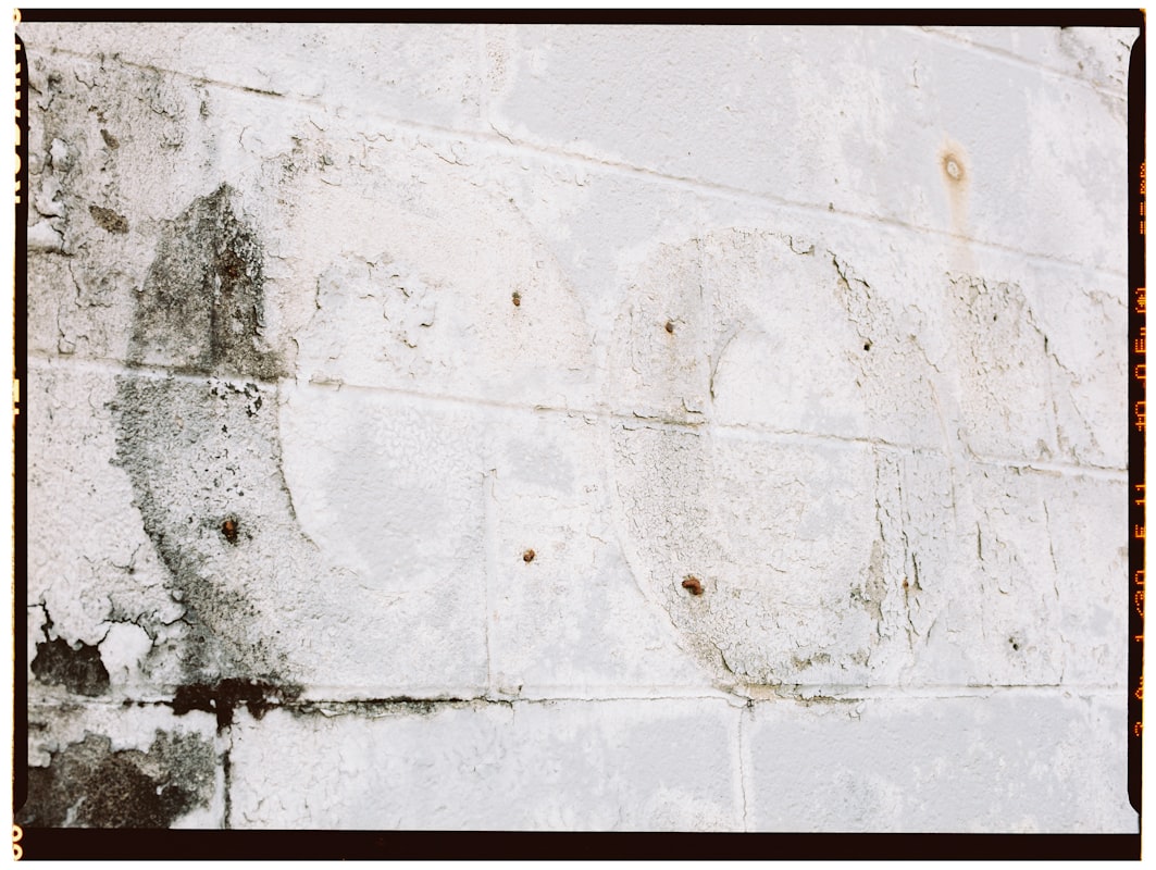 Commercial Water Damage service in Wesley Chapel, FL