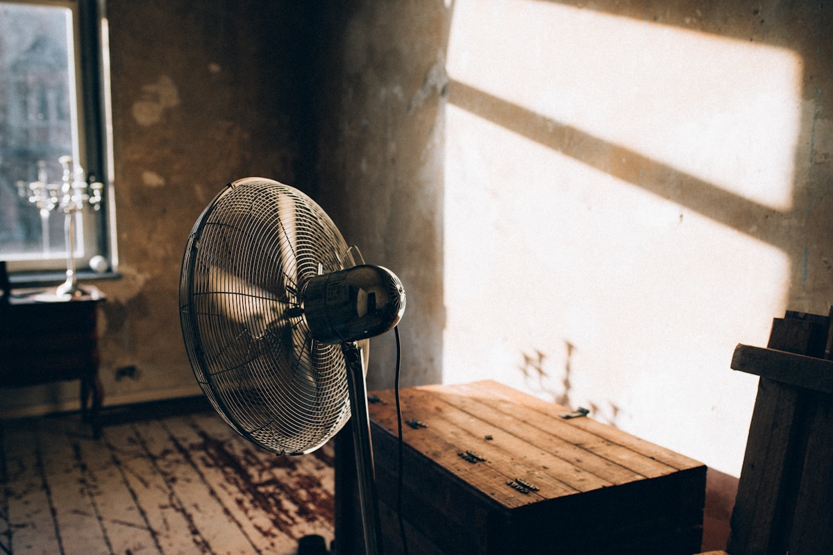 Mold Remediation service in Wesley Chapel, FL